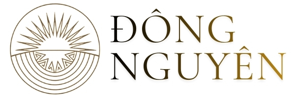 dongnguyenquatang.com